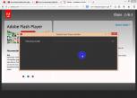 Adobe Flash Player
