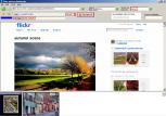 Flickr Downloader
